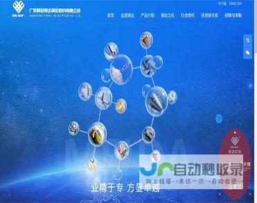 新会网站设计：从视觉到功能，全面提升您的新会企业形象，拓展市场新机遇