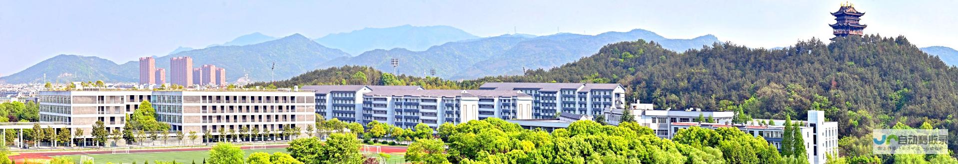 义乌专业网站建设：助力你的企业在线腾飞