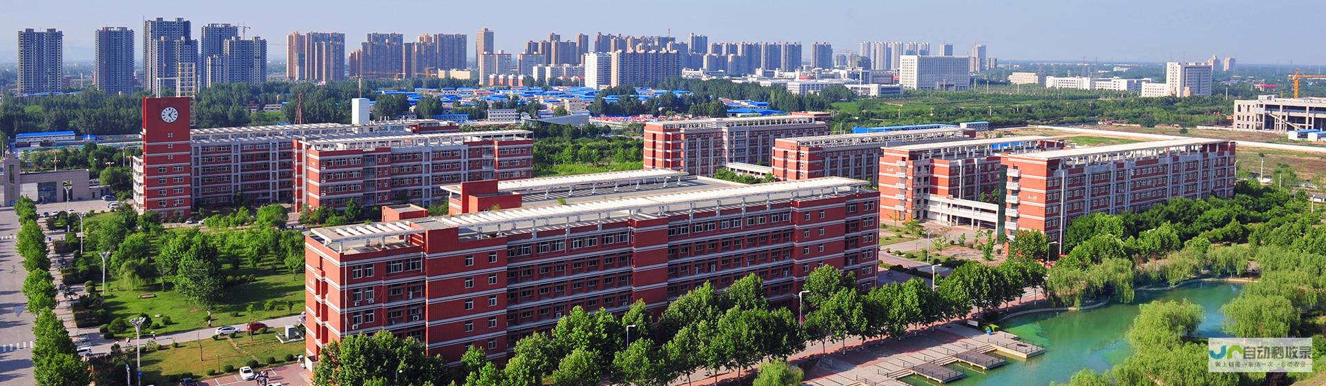 新乡SEO教程：从入门到精通，掌握新乡本地搜索引擎优化技巧