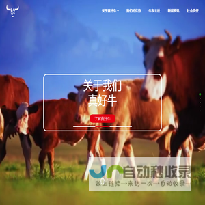 真好牛（深圳）科技有限公司-真的好牛！
